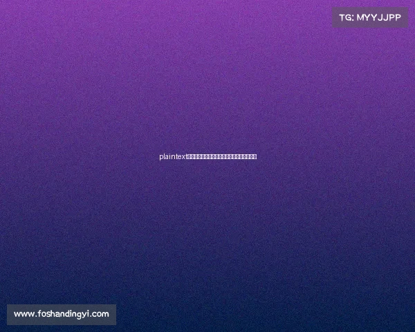 plaintext筑梦电竞:澳科大战队在区域赛事中崭露头角 plaintext筑梦电竞:澳科大战队在区域赛事中崭露头角